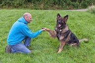 German Shepherd Dog shaking this owners hand. They are outside on grass doing training.