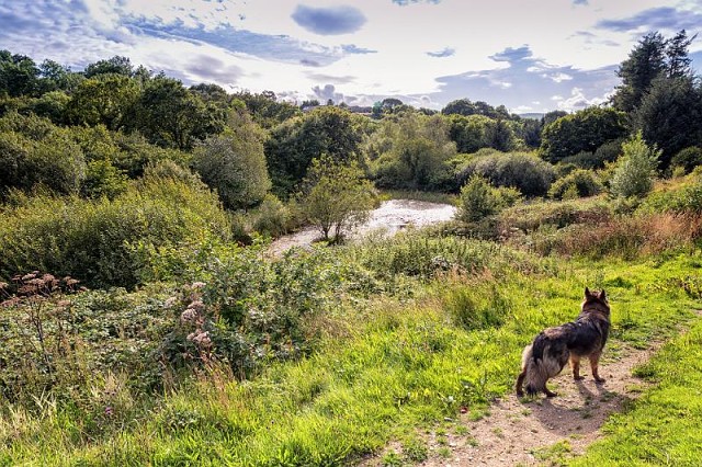 20160805-E34I0744-Edit