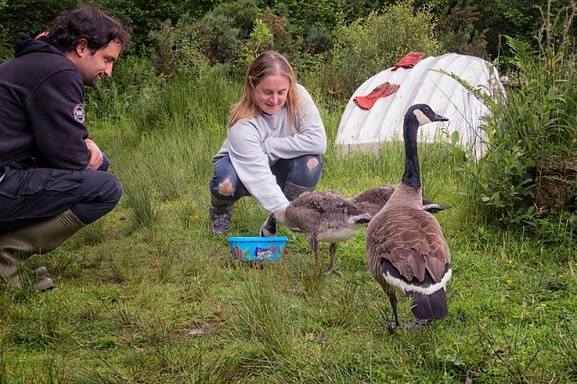 20160616-IMG 2845-Edit