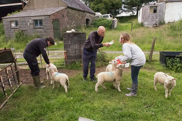 20160616-IMG 2860-Edit