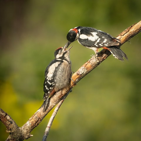 20230608-FXT43995-Edit