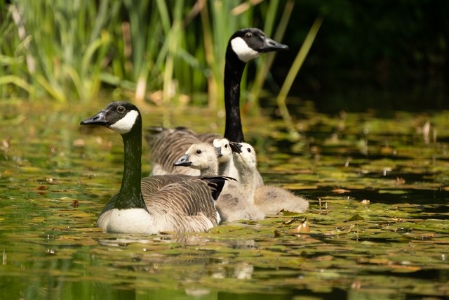 20230608-FXT44105-Edit