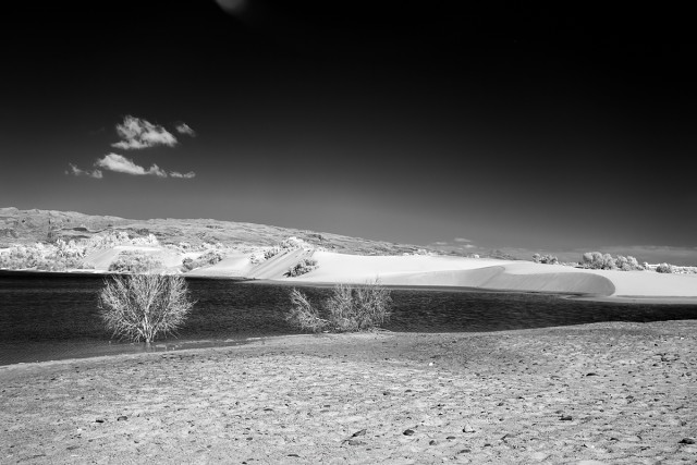 20250113- DSF1009-Edit